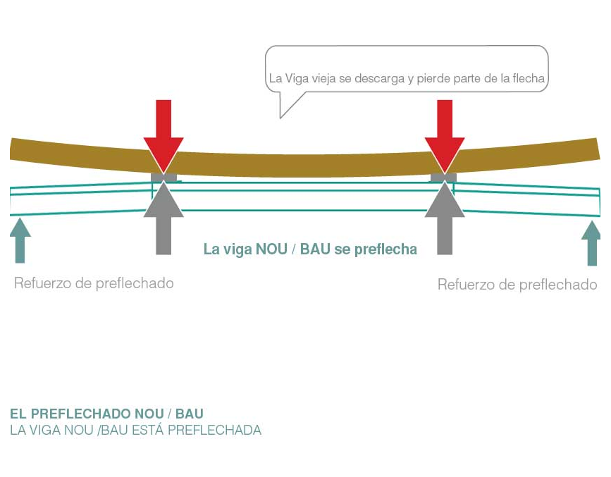 La sustitución funcional